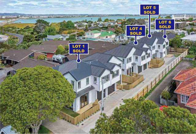 53C Alberta Street Pt Chevalier_1