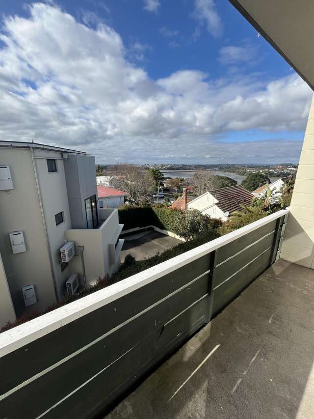 24/49 St Stephens Avenue Parnell_4