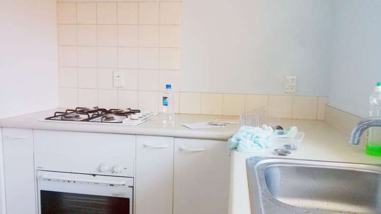 199e Captain Springs Road Onehunga_17