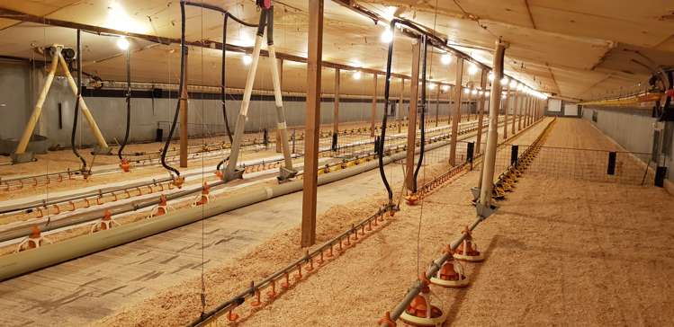 35 Mcclelland Road Rolleston_8