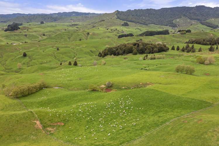 80 Parakoko Road Aria_2