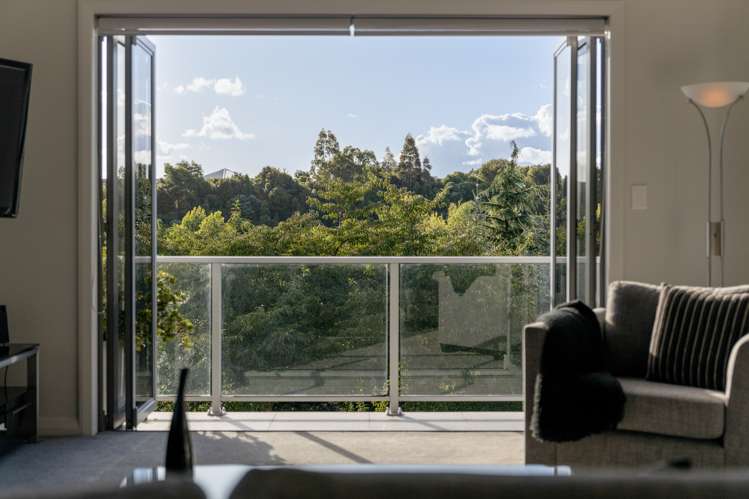 15 Athelstan Way Bethlehem_11