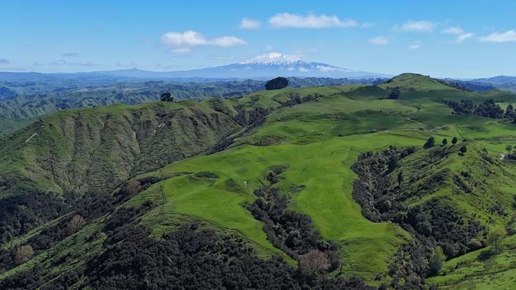 3104 Mangamahu Road_0