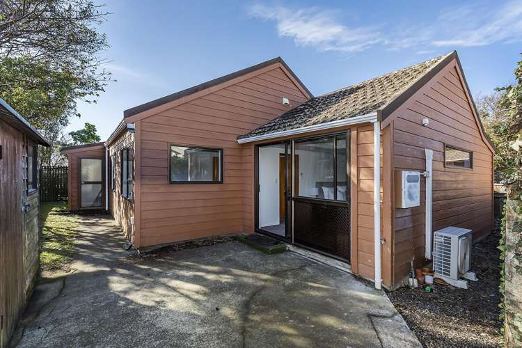 53B Rex Street Miramar_15
