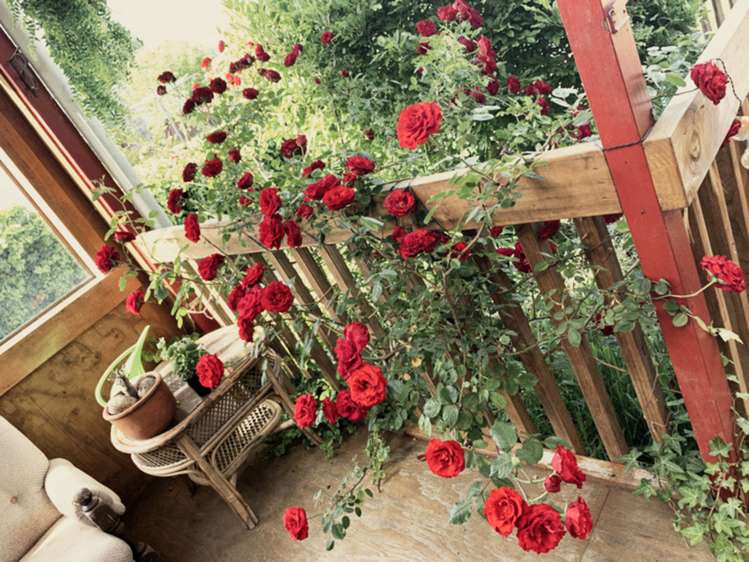 9 Papanui Street Tokoroa_9