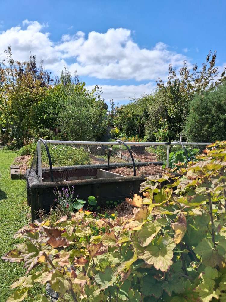 14 George Street Waimate_21