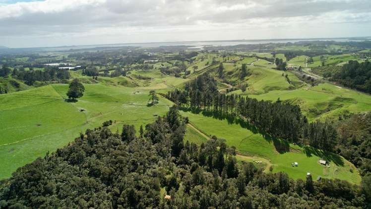 717 Wright Road Aongatete_25