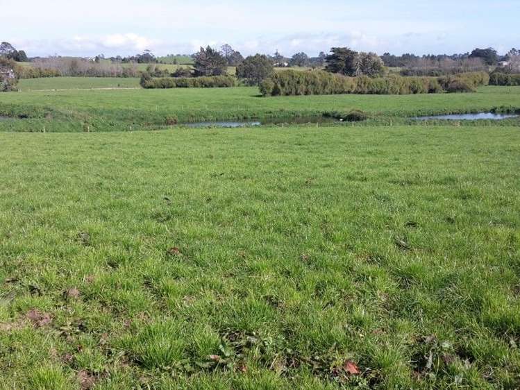 346 Rugby Road Tariki_19