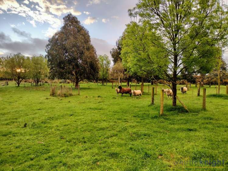 1/546 McLaughlins Road Darfield_34