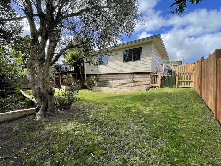 16B Manson Street Greerton_30
