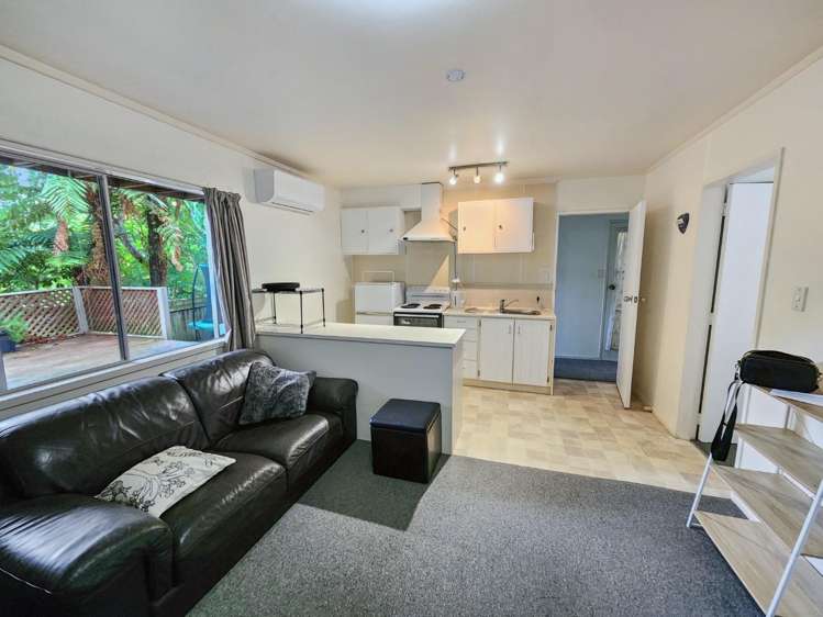 102 Pinehaven Road 1337_2