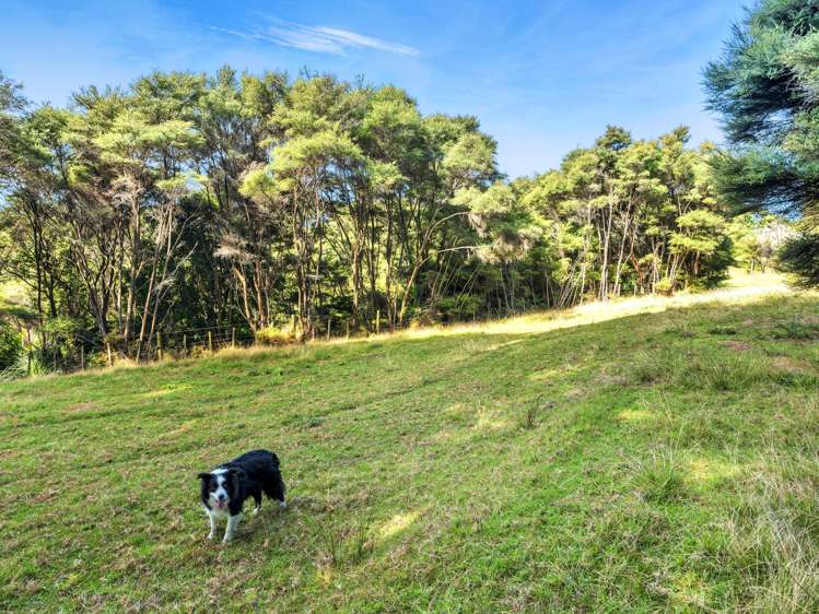 158 McLeod Road South Head_29