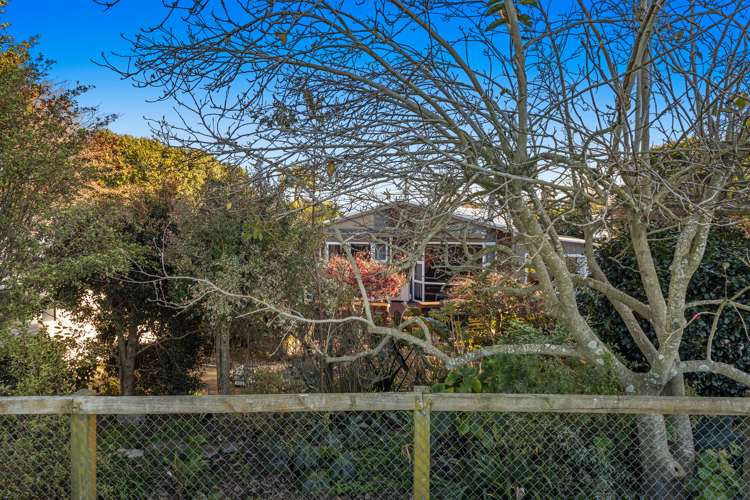 81 College Road Edgecumbe_22