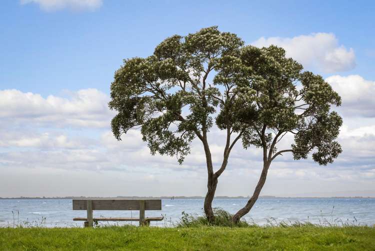 102 Prices Avenue Thames-coromandel_29