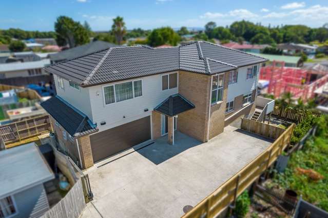 225a Portage Road Papatoetoe_2