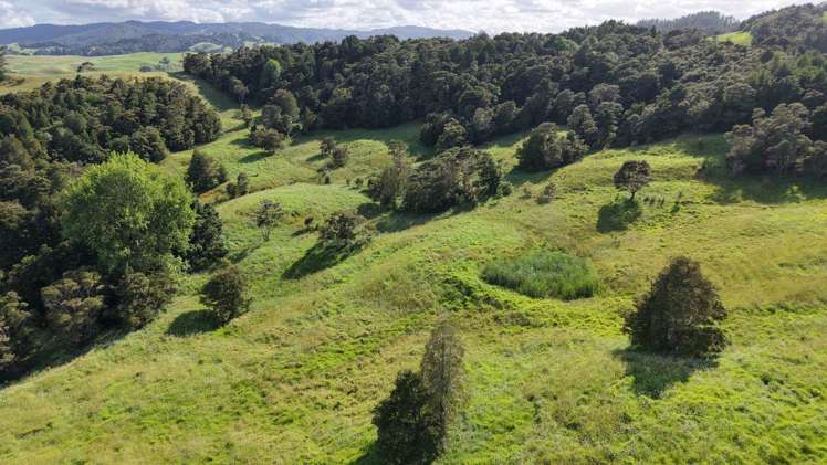 125 Orira Road Umawera_12