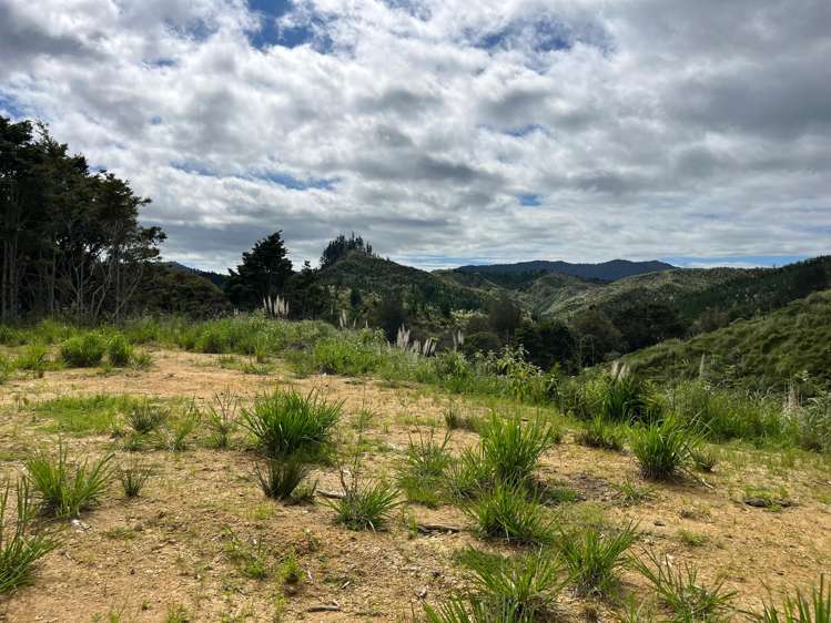 Lot 23 Waiotehue Road Herekino_7