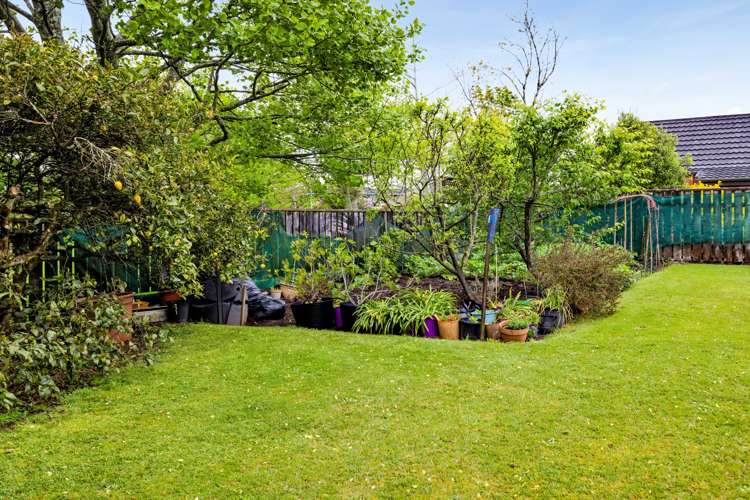 6 Kamahi Place Inglewood_16