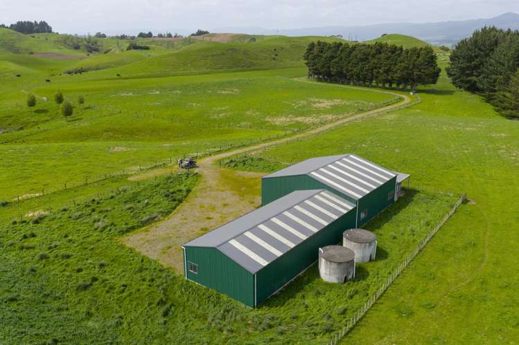 137 Zigzag Road Pohangina Valley_13