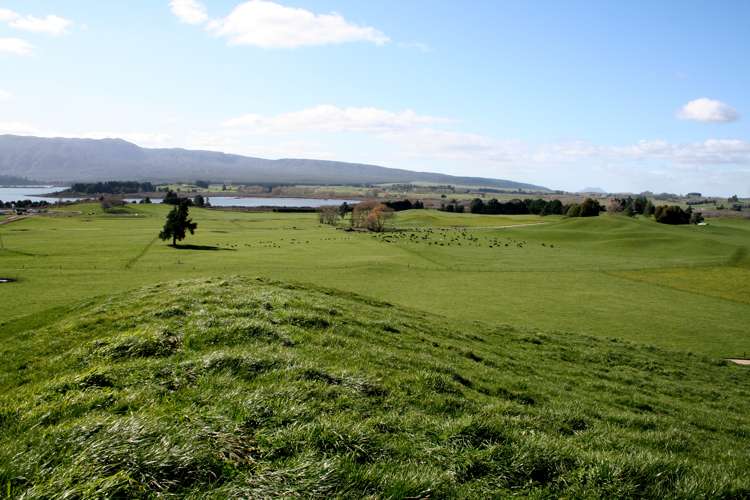 206 Ash Pit Road Rerewhakaaitu_10