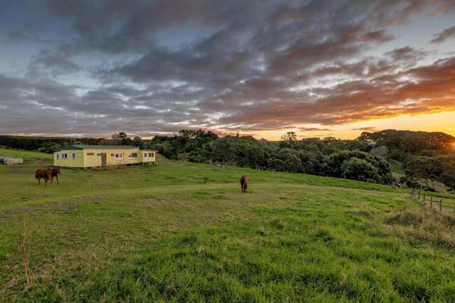 Address withheld Waiotahe_3