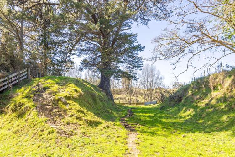 7 Ngahuia Place Te Awamutu_42