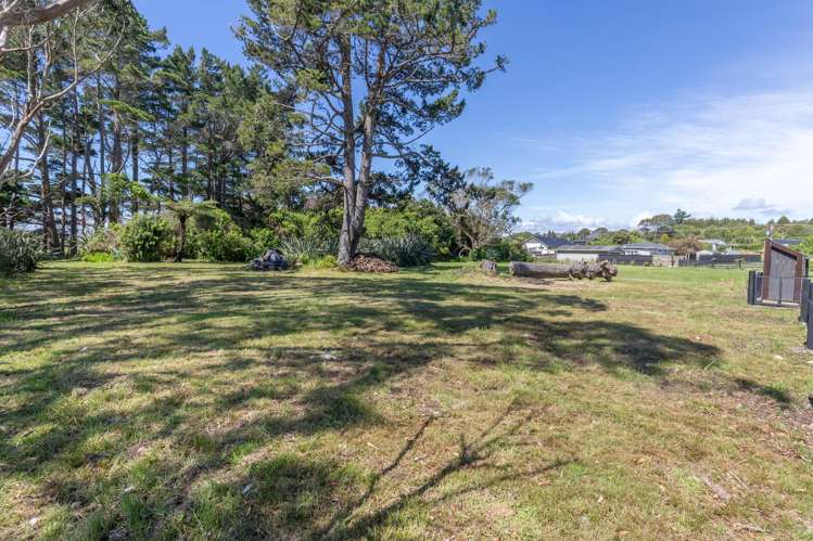 Pandora Avenue Camerons_20