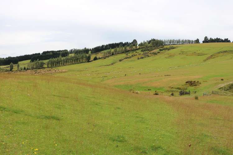 305 Lynwood Road Te Anau_20