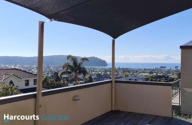 115 Pacific View Drive Whangamata_2