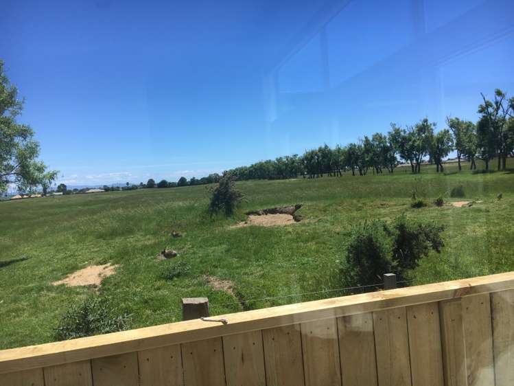 18 Franks Way Papamoa_13