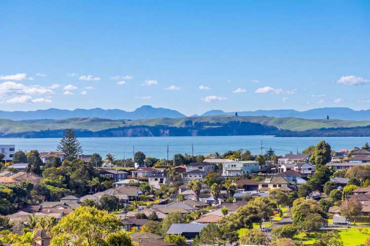 118 Fairview Avenue Albany_1