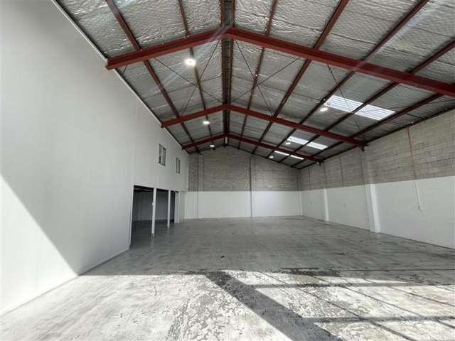 55 Hillside Road Wairau Valley_3