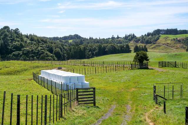 530 Soldiers Road Lower Kaimai_2