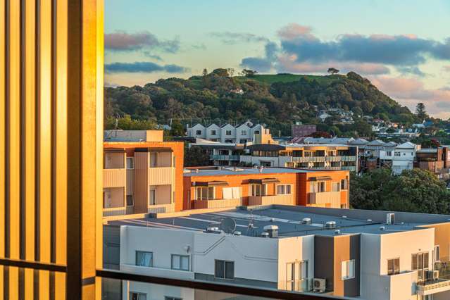 Three Penthouses Sold - Only One Remaining!