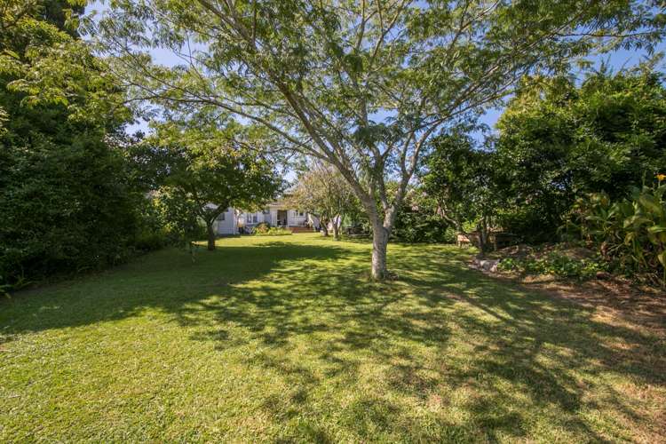 10 Queen Mary Avenue New Lynn_7