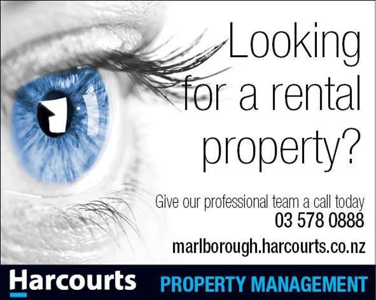 28b Solway Drive Witherlea_15