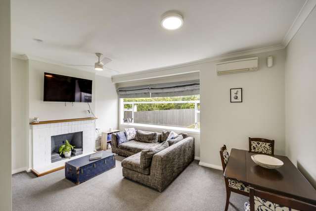 401A Awatea Street Akina_1