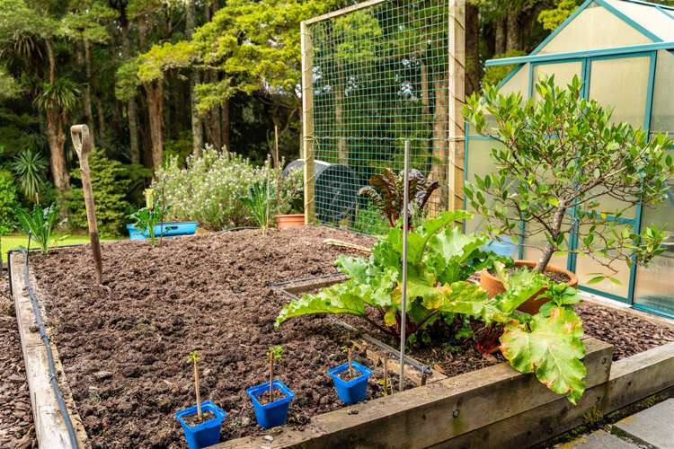 48b Wilson Road Warkworth_27