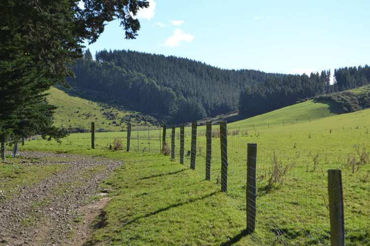 1363 Loburn Whiterock Road Loburn_5