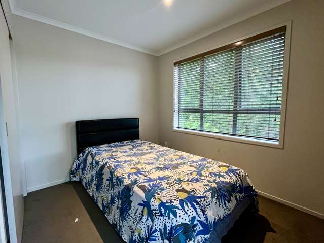 186 Dawson Road Flat Bush_3