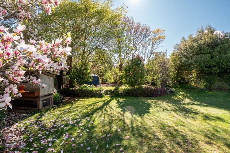 42 Boyes Crescent Frankton_6