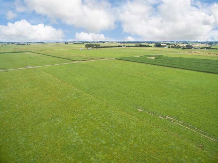 788 Tangimoana Road Ohakea_3