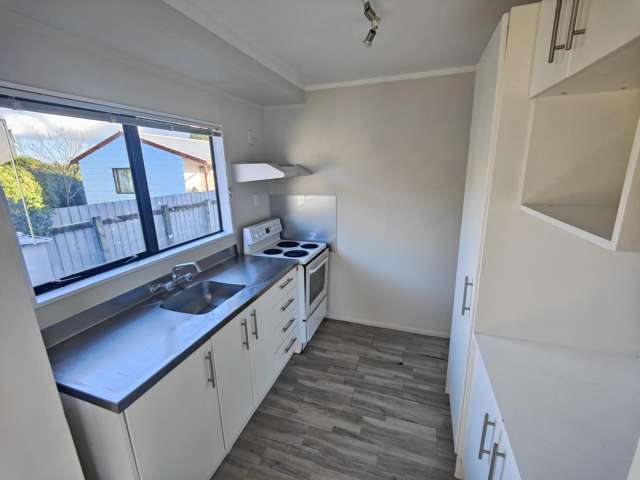 1B Hawk Street Frankton_3