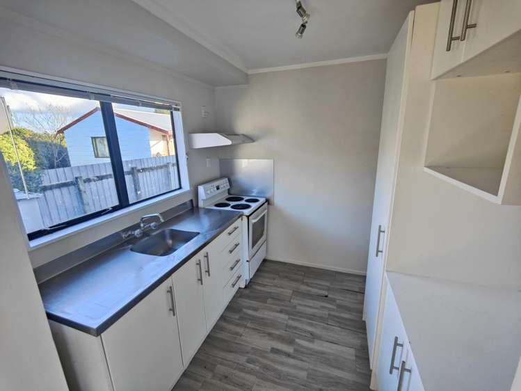 1B Hawk Street Frankton_3