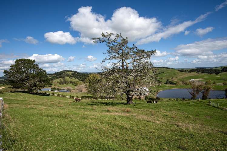 243 Jobe Road Maungakaramea_33
