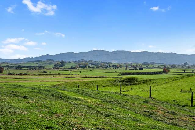 543 Lake Road Horsham Downs_4