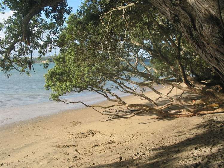 10/69 Hamilton Road Herne Bay_9