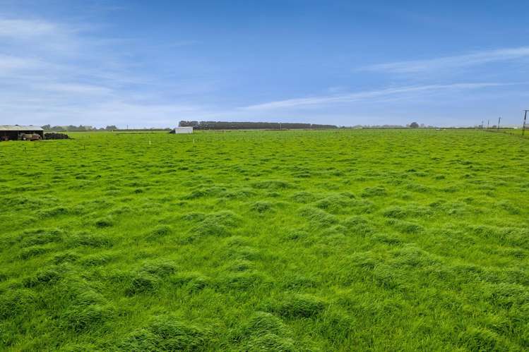 0n Turangi Road Upper Motunui_7