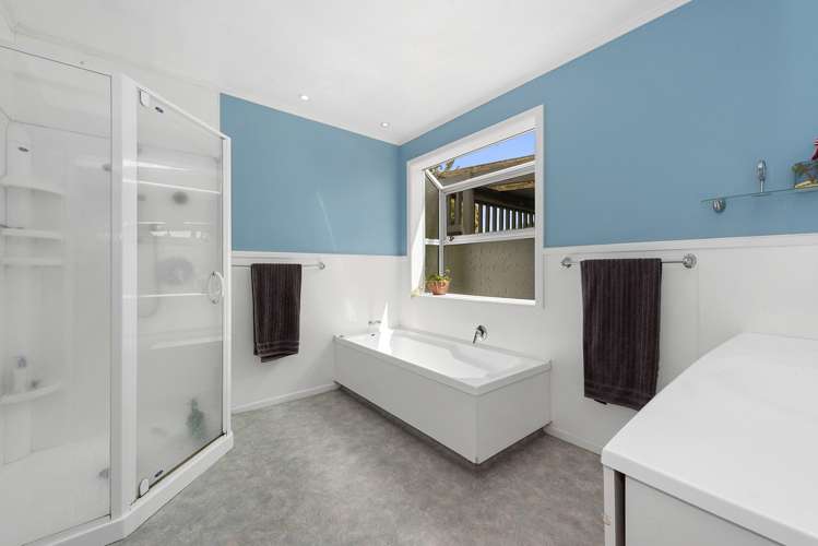 668 Park Road Te Awamutu_10