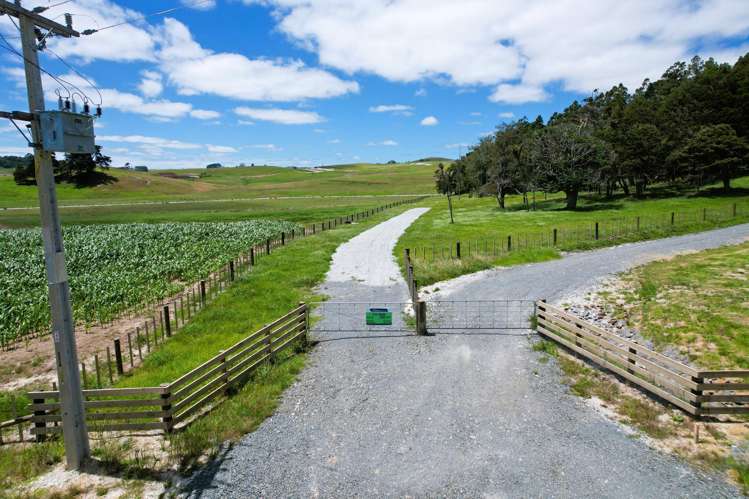 Lot Lot 3 Sills Road Dargaville_18